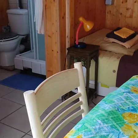 펜션 Maisonnette Avec Piscine Pres De La Gare Part Dieu *